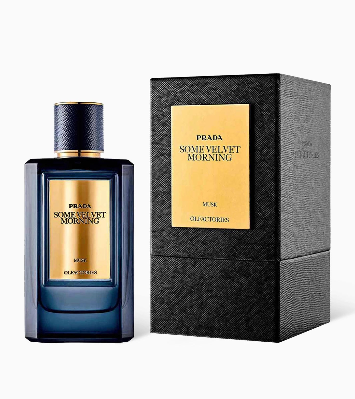 SOME VELVET MORNING By Prada - Legend Shop Lb