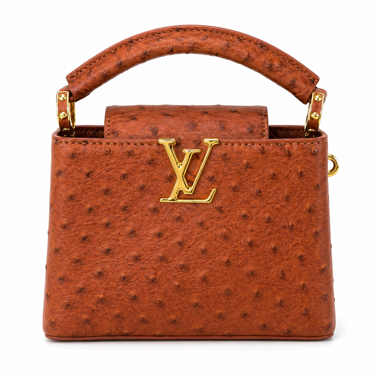 Louis Vuitton Capucines Mini handbag