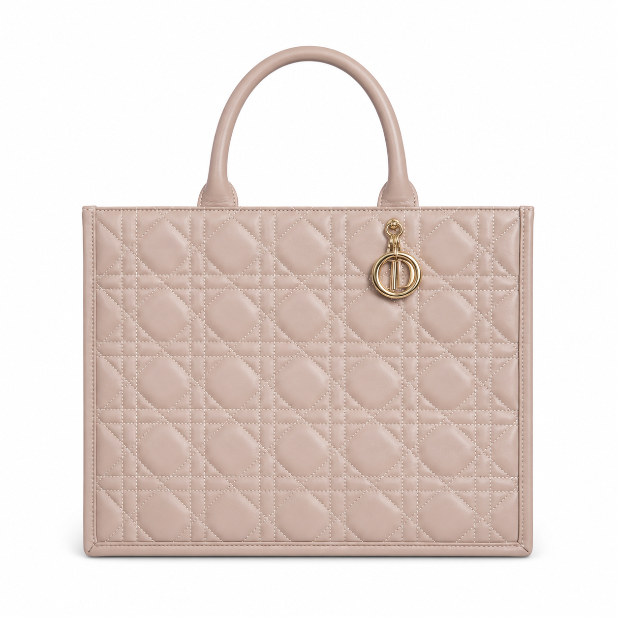 Dior Book Tote in Macrocannage calfskin