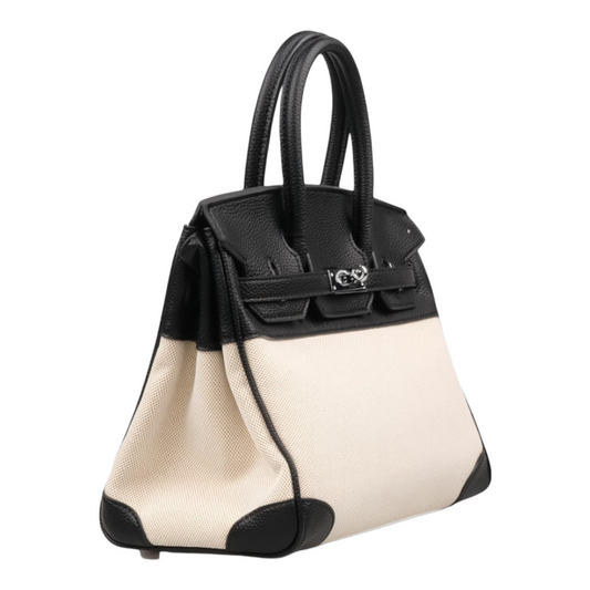 Hermès Toile H Birkin 25 bag