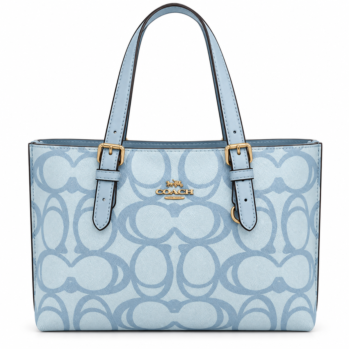 Coach Maggie Tote Bag