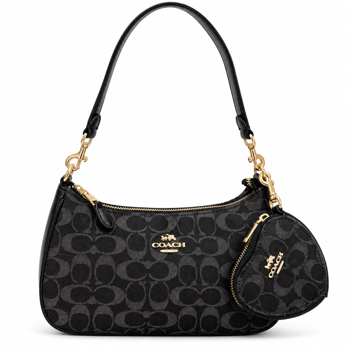 Coach Teri Mini Crossbody Bag