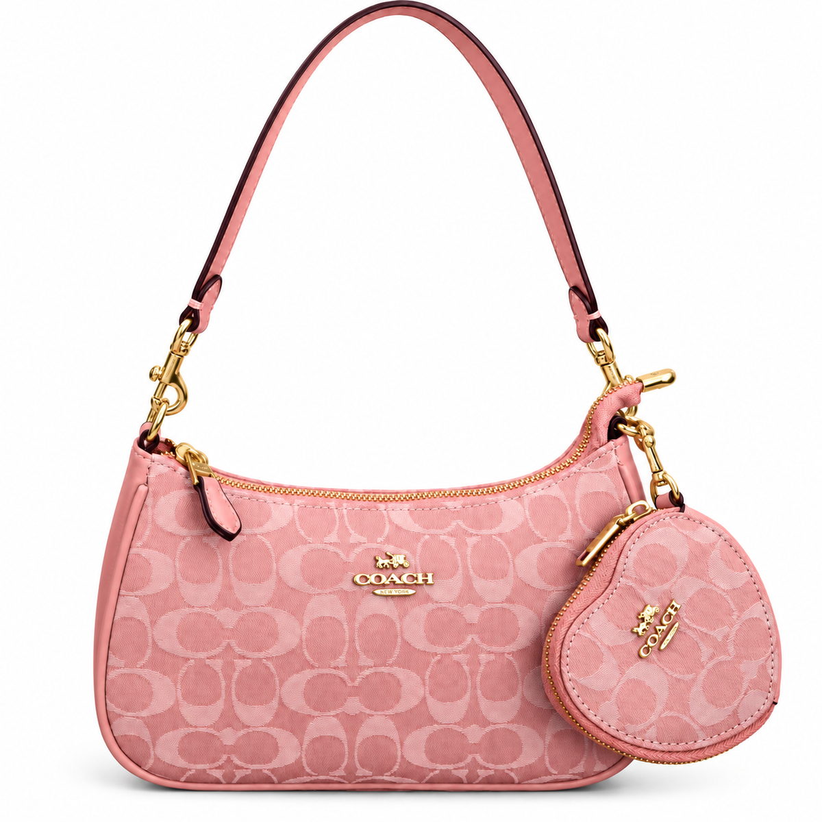 Coach Teri Mini Crossbody Bag