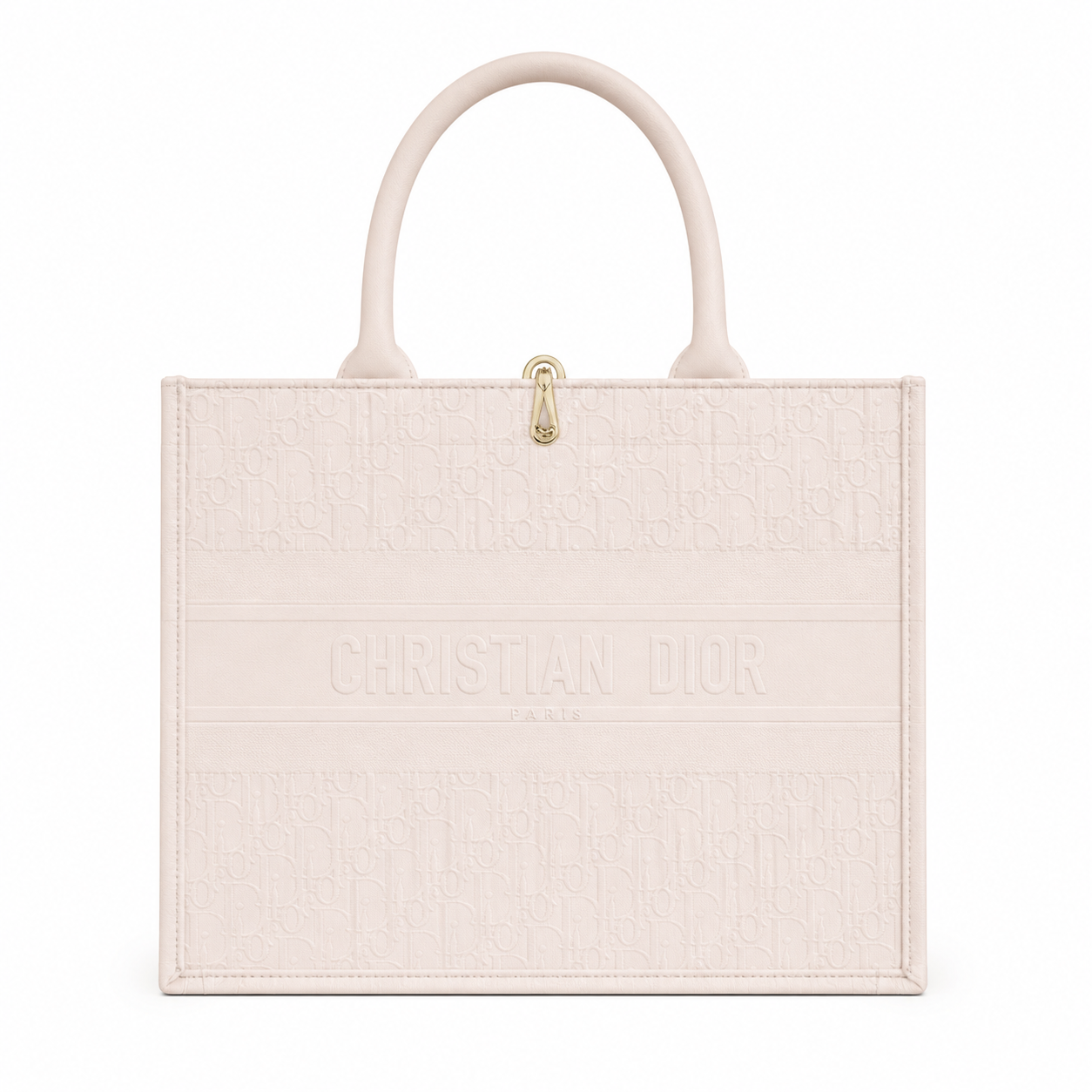 Christian Dior Book Tote in embroidered canvas