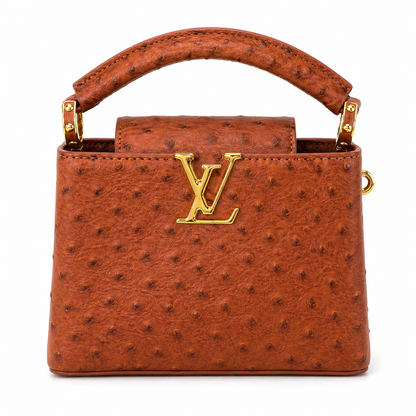Louis Vuitton Capucines Mini handbag