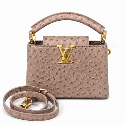 Louis Vuitton Capucines Mini handbag