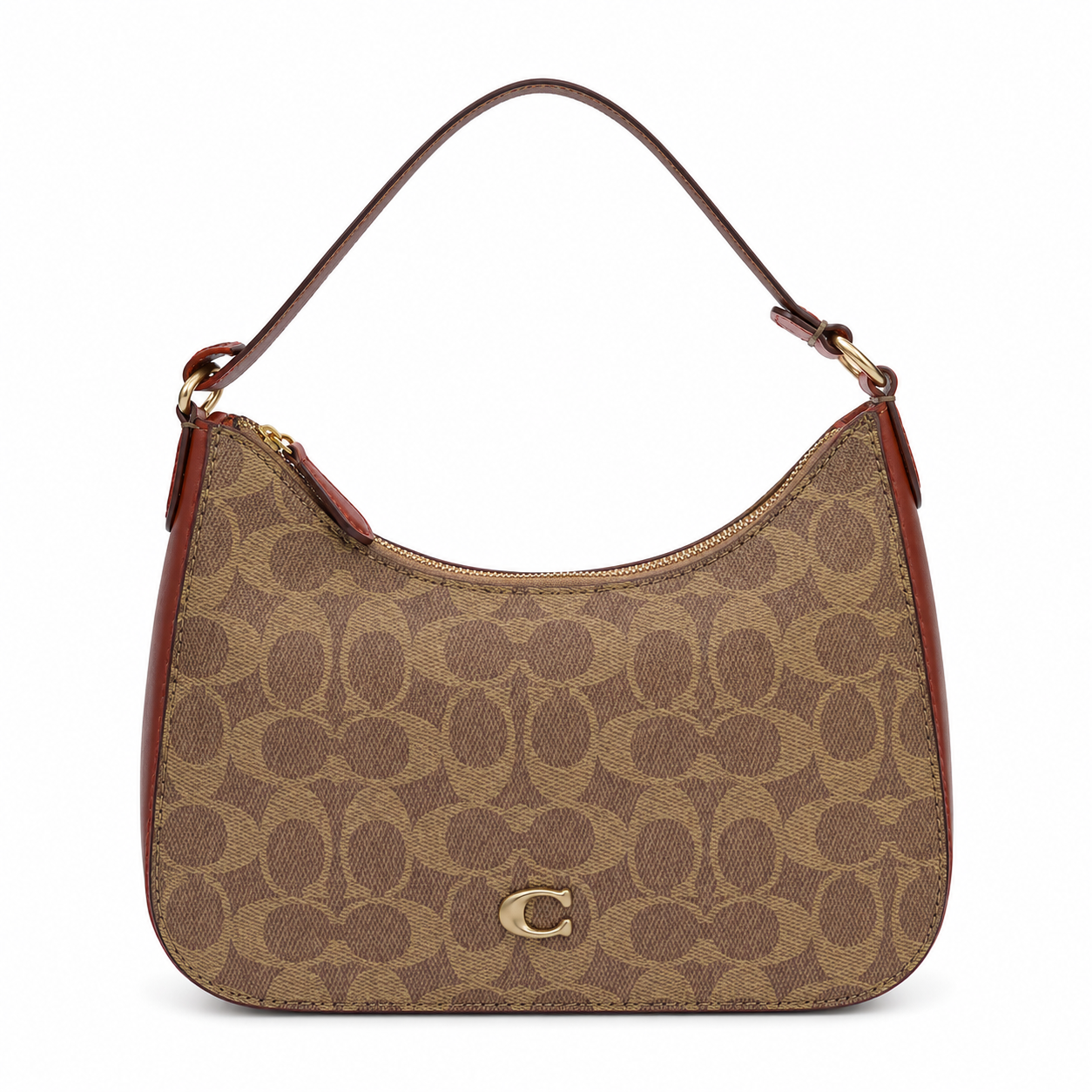 Coach Teri hobo bag