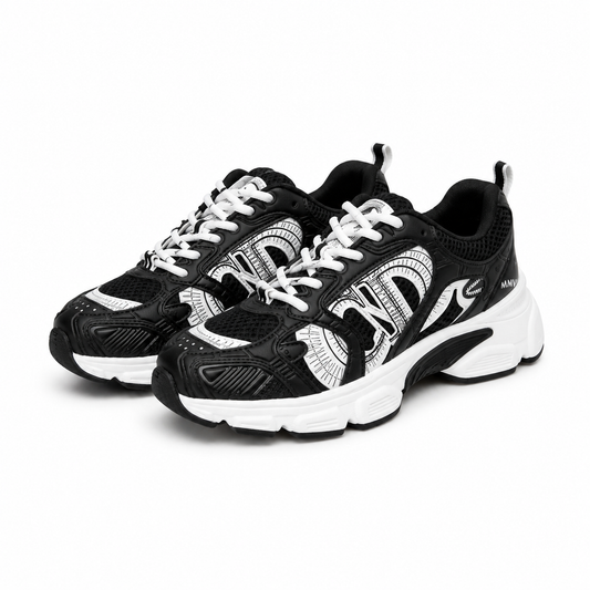 Dior Chrono sneakers
